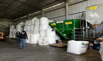 Sementes apreendidas no Rio Grande do Sul