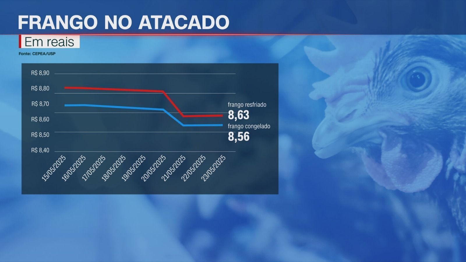 • crédito: CNN Brasil