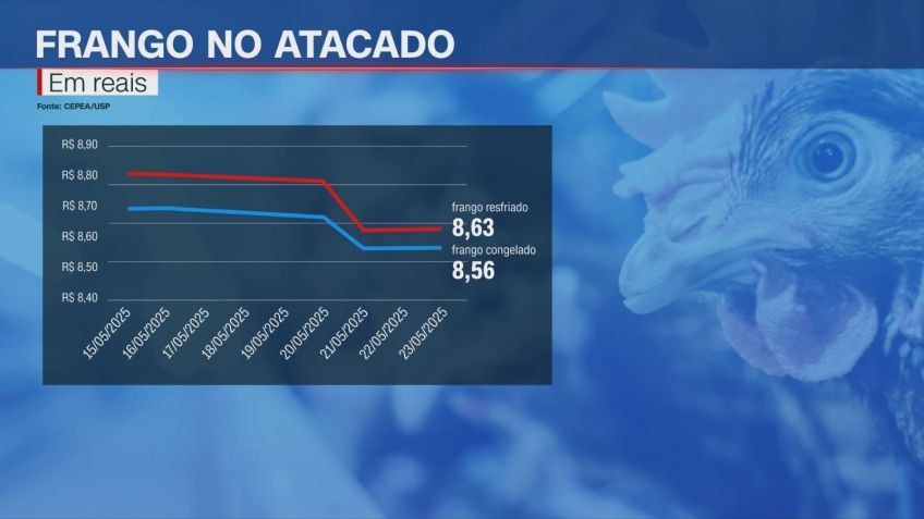 • crédito: CNN Brasil