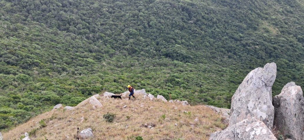 Imagens das buscas pelo turista argentino em Florianópolis (SC) • Divulgação