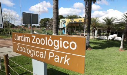Zoológico de Brasília é fechado por suspeita de gripe aviária