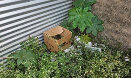Recém-nascido é resgatado em caixa de papelão em MG