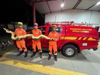 Jiboia de quase 2m é encontrada dentro de máquina de lavar roupas em MT