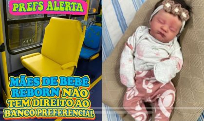 aviso bebê reborn