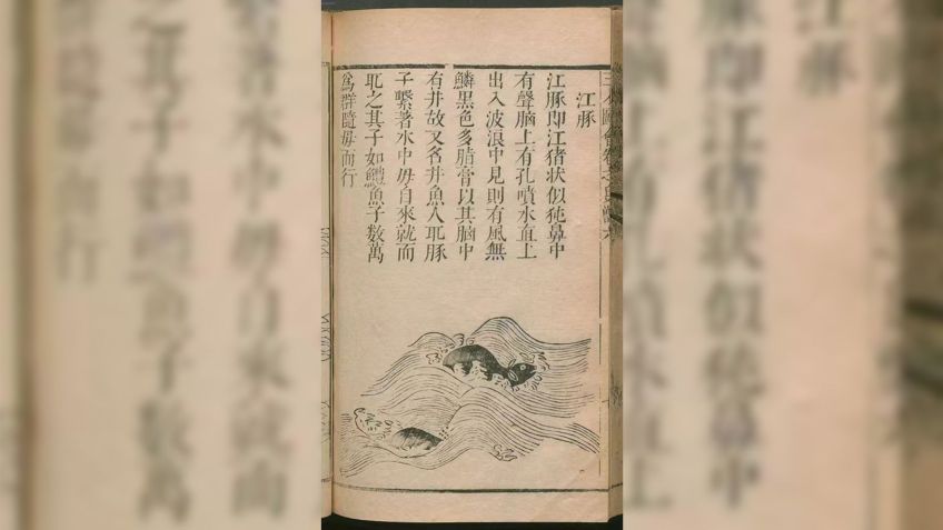 Um poema da Dinastia Ming do “Compêndio dos Três Poderes”, compilado por Wang Qi (1573–1620), registra detalhes morfológicos, posturas de superfície e comportamentos de criação do boto-sem-barbatanas do Yangtze • Sancai Tuhui