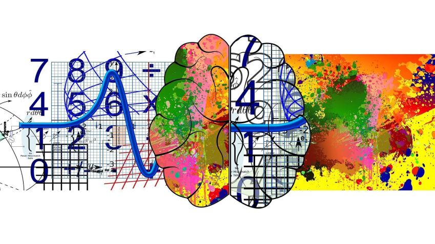 "You think with your whole brain"Study authors • Gelay/Pixabe
