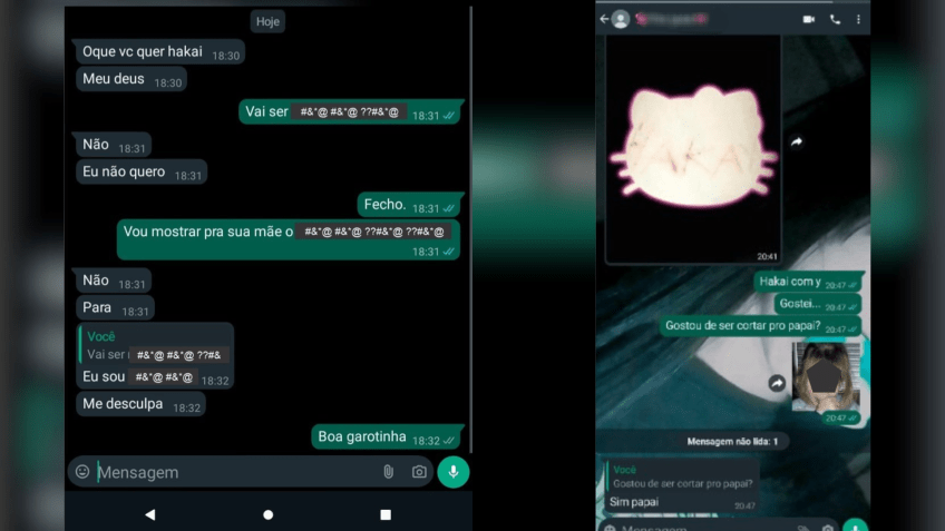 Os cibercrimes aconteciam em plataformas digitais - Reprodução