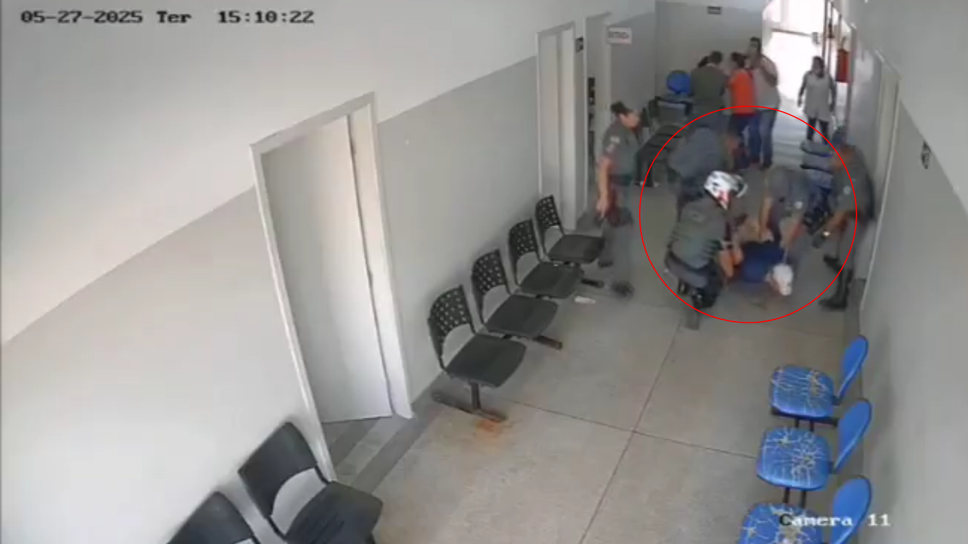 cao farejador cofre droga
