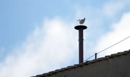 Vatican Holds Conclave To Elect New Pope