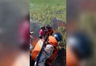 Bolívia: grupo é salvo dias após avião cair em pântano cheio de jacarés
