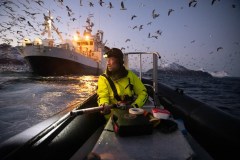 Vencedor geral da competição mostra um cientista com uma espingarda de pressão, que ele usa para marcar e monitorar baleias nos fiordes noruegueses