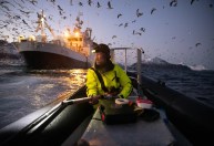Concurso de fotos da Nature mostra cientistas trabalhando; veja vencedores