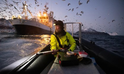 Concurso de fotos da Nature mostra cientistas trabalhando; veja vencedores