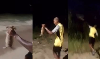 RJ: jovem arremessa filhote de cachorro em matagal; animal é encontrado morto