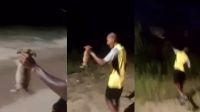RJ: jovem arremessa cachorro em matagal e animal é encontrado morto
