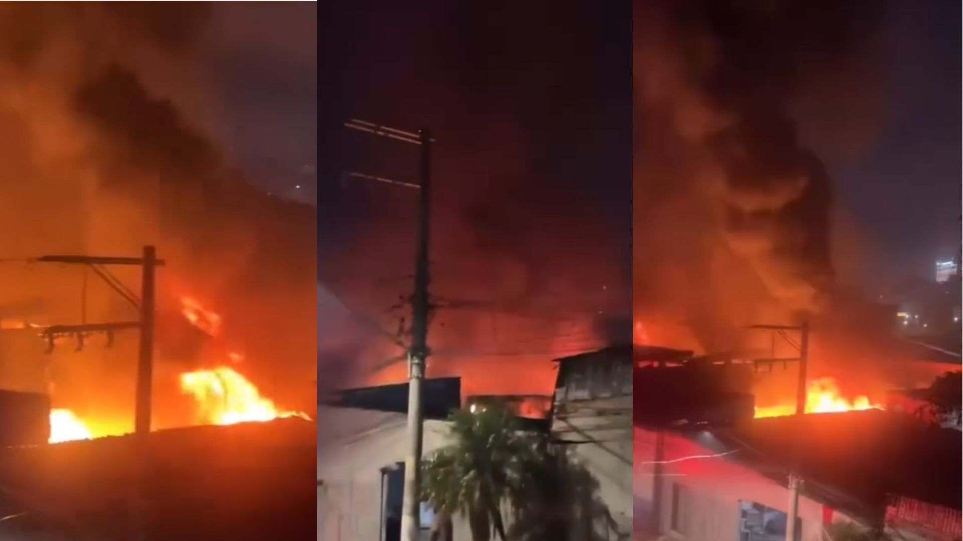 Vídeo: Incêndio atige galpão de recicláveis na zona norte de São Paulo