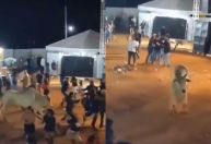 Vídeo: Touro escapa de curral e assusta público durante rodeio em Goiás