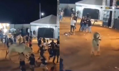 Vídeo: Touro escapa de curral e assusta público durante rodeio em Goiás