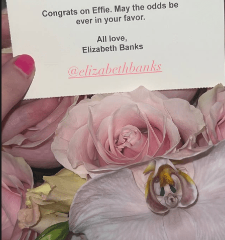 Elle Fanning mostra buquê de flores recebido por Elizabeth Banks • Instagram/ Elle Fanning