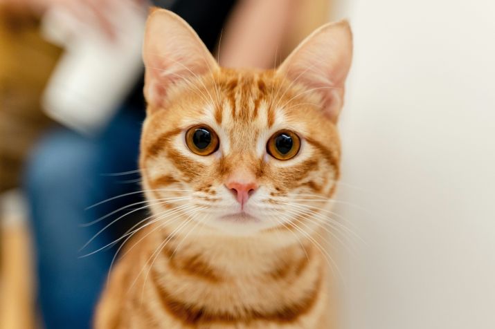 • Sam Chang/Unsplash