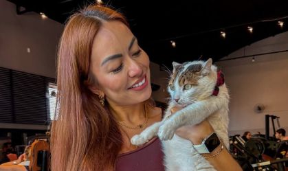 Gato Taurinho: como funciona o instinto de gatos para proteger um ao outro