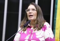 Juristas pedem que PGR investigue deputada Bia Kicis por ataques ao STF