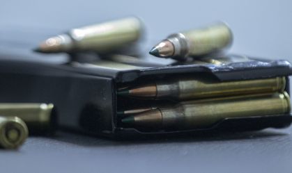 Brasil tem 1,5 milhão de armas de CACs; maioria em SP, RS e PR