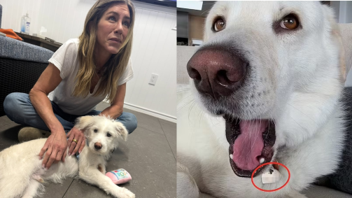 Logo após perceber o erro, a dona da conta de 44,5 milhões de seguidores apagou a imagem do carrossel