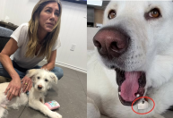 Jennifer Aniston vaza próprio celular e corre para apagar post