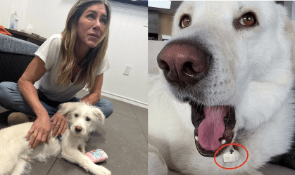 Logo após perceber o erro, a dona da conta de 44,5 milhões de seguidores apagou a imagem do carrossel