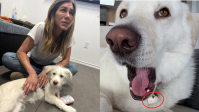 Jennifer Aniston vaza próprio celular e corre para apagar post