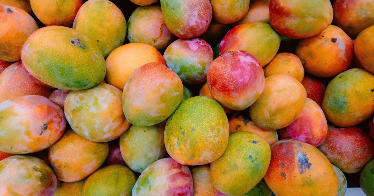 Embarques de frutas do Brasil sobem 25% em receita no 1º trimestre de 2026