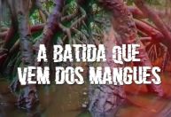 Grande Rio dá dica sobre enredo e torcedores apostam em manguebeat