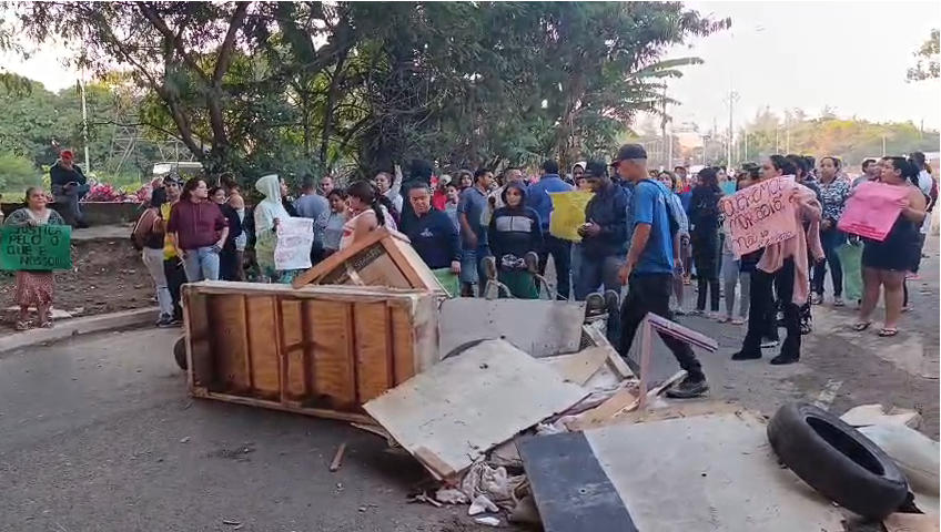manifestacao