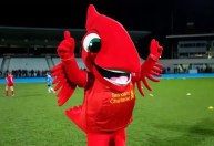 Ano do pássaro: futebol inglês vive coincidência inusitada em 2025