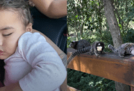 Bruna Biancardi mostra Mavie curtindo passeio de domingo; veja