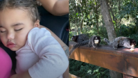Bruna Biancardi mostra Mavie curtindo passeio de domingo; veja