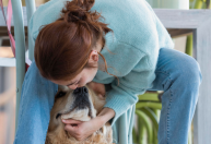 Cão de suporte emocional: o que é e como auxilia no bem-estar humano