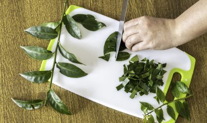 Ora-pro-nóbis é fonte de proteínas: como incluir planta na alimentação