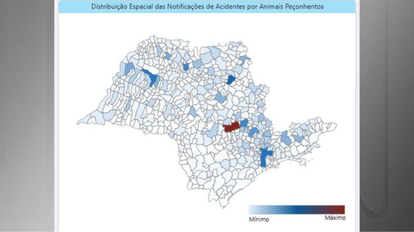 Painel de monitoramento de acidentes por animais peçonhentos • Divulgação/Secretaria de Saúde