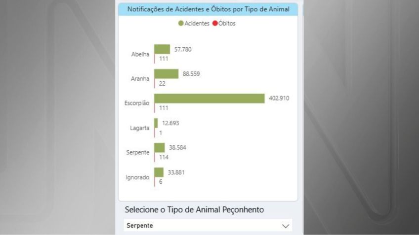 Painel de monitoramento de acidentes por animais peçonhentos • Divulgação/Secretaria de Saúde