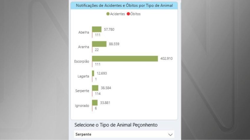 Painel de monitoramento de acidentes por animais peçonhentos • Divulgação/Secretaria de Saúde