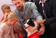 Vencedor da Palma Canina é escolhido em Cannes; conheça o cachorro premiado