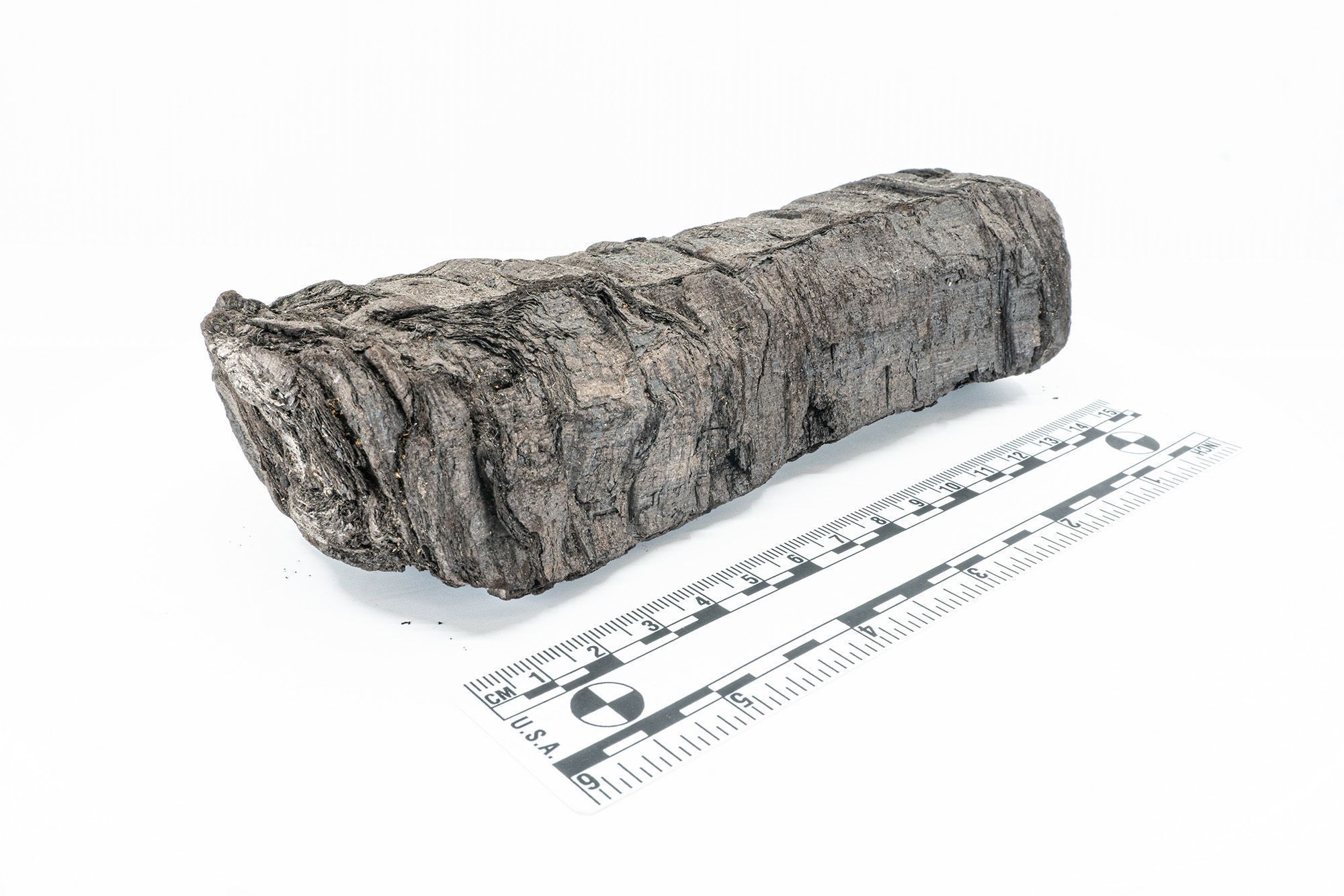 O PHerc. 172 foi queimado há quase 2.000 anos, quando o Monte Vesúvio entrou em erupção em 79 d.C. • Vesuvius Challenge via CNN Newsource