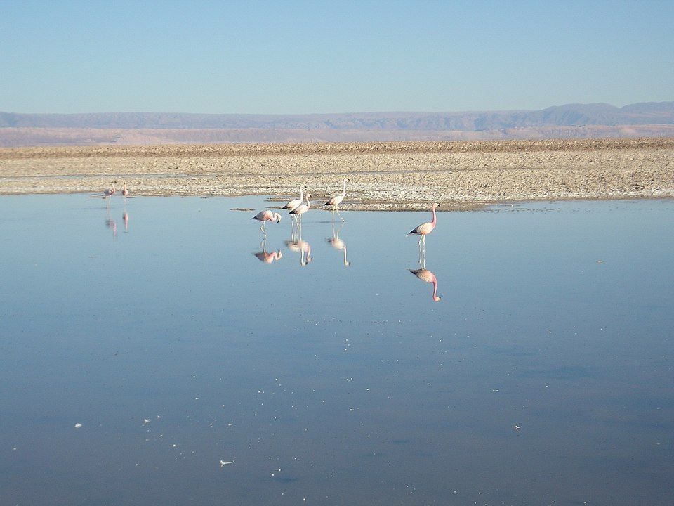 A imagem apresenta uma fotografia do salar do Atacama.