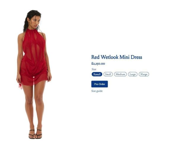 Virginia é a nova rainha da bateria da Grande Rio • Reprodução