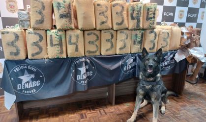 Polícia Civil realiza maior apreensão de haxixe da história do Paraná