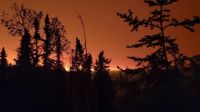 "Céu laranja": Incêndios florestais perigosos forçam retiradas no Canadá