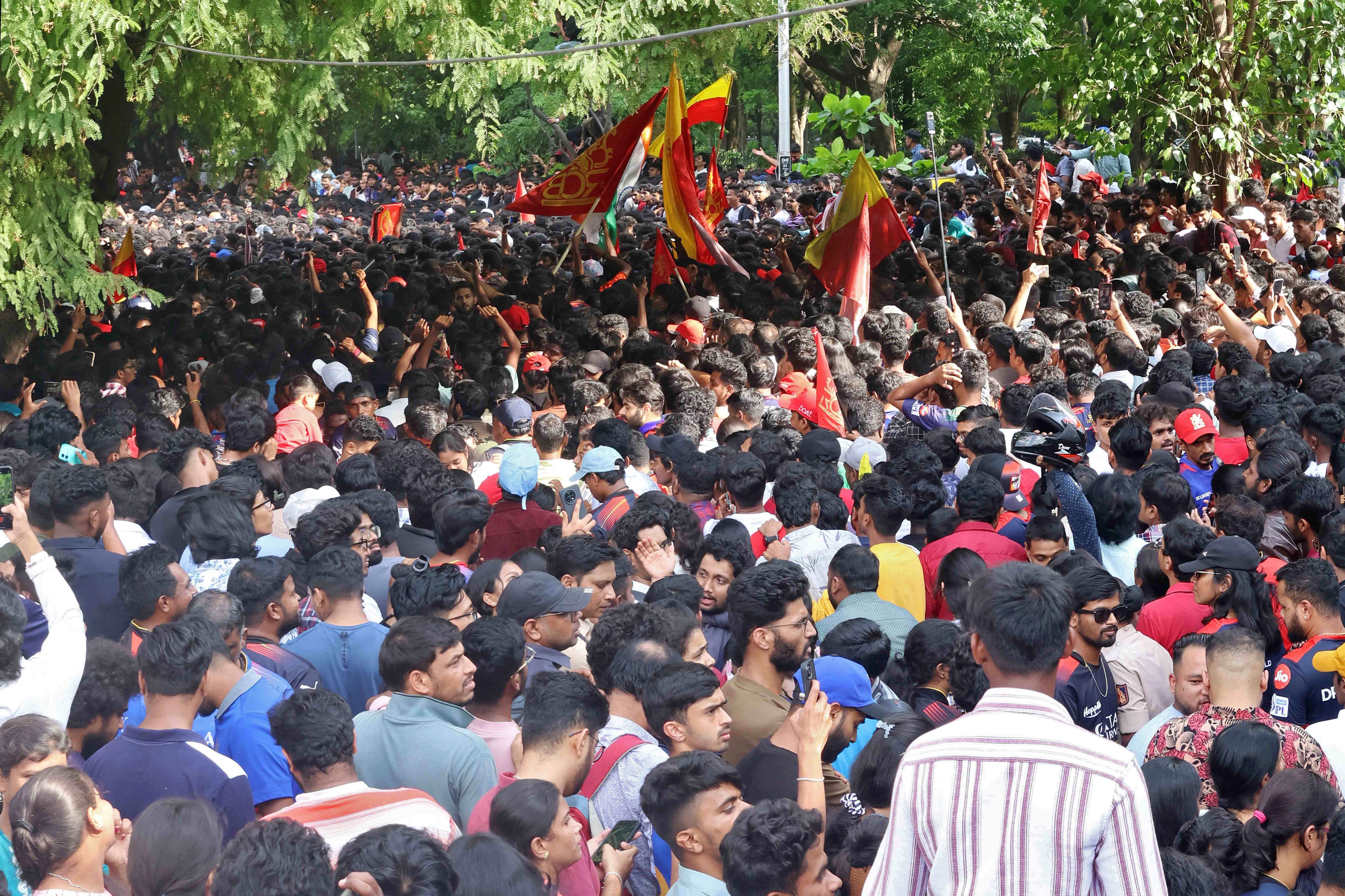 Torcida celebra título do Royal Challengers Bengaluru