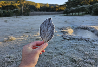 Rio congelado: Bom Jardim da Serra (SC) registra sensação térmica de -10°C